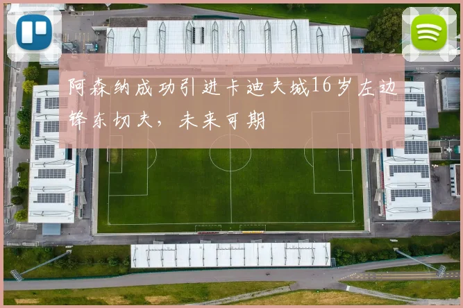 阿森纳成功引进卡迪夫城16岁左边锋东切夫，未来可期